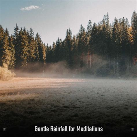 Gentle Rainfall For Meditations Album By Rain For Deep Sleep