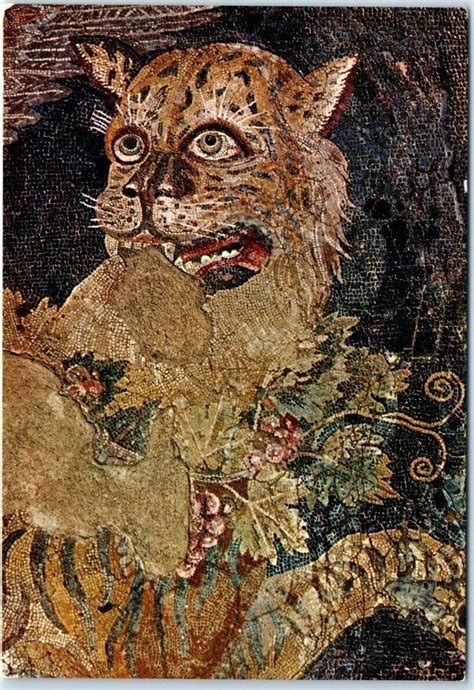 Postcard Mosaic Of Tiger S Head From The House Of Dionysos Delos