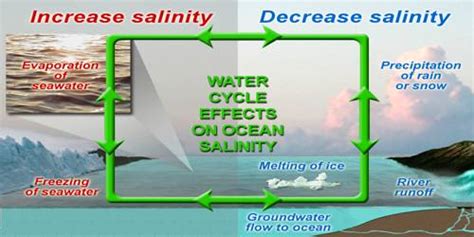 Salinity of Ocean Water - QS Study