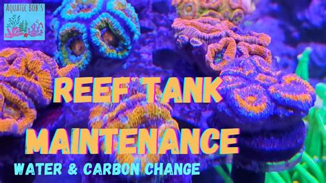 Reef Tank Maintenance Water Change Changing Carbon YouTube