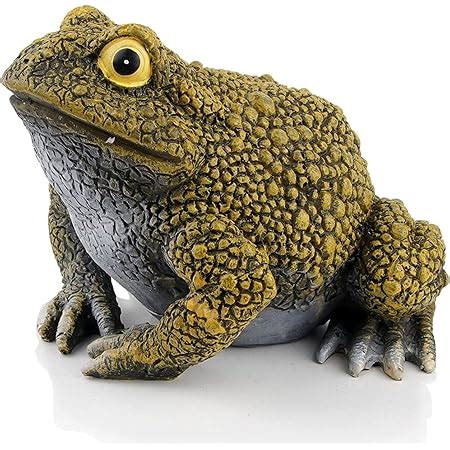 Amazon Sunthus Frog Toad Sculptures Garden Statues Yard Art Resin