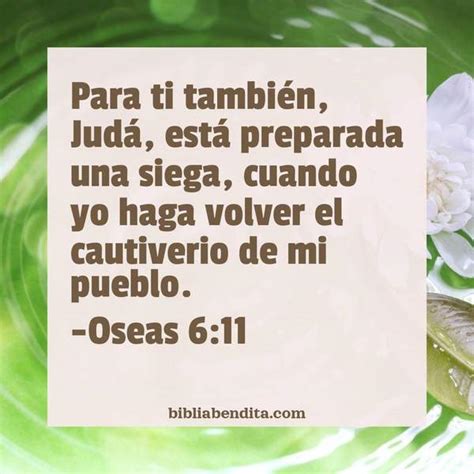 Explicación Oseas 6 11 Para ti también Judá está preparada una siega