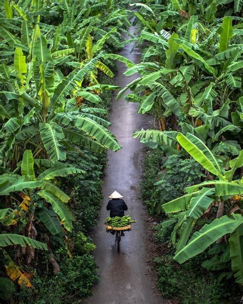 TOUR TRONG NƯỚC Tổng hợp chương trình tour du lịch tron Flickr