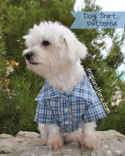 Dog shirt patterns | PDF PATTERN | Mimi & Tara