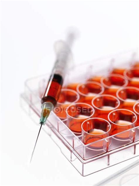 Stem cell research — human cells, samples - Stock Photo | #160559894