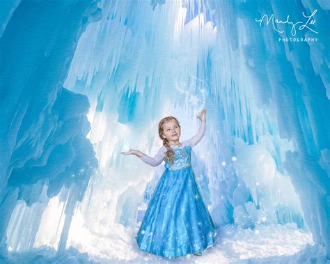 Frozen Palace Ice Palace Studio Backdrops Backgrounds Hot Sex Picture