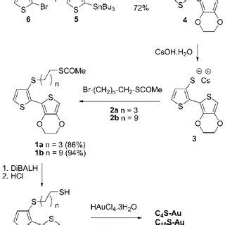 Chemical Structure Of The Thiols And Capped GNPs The Number Of