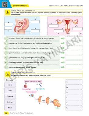 Page 22 7 SINIF FEN BİLİMLERİ DEFTERİM GİRİŞ YAYINLARI