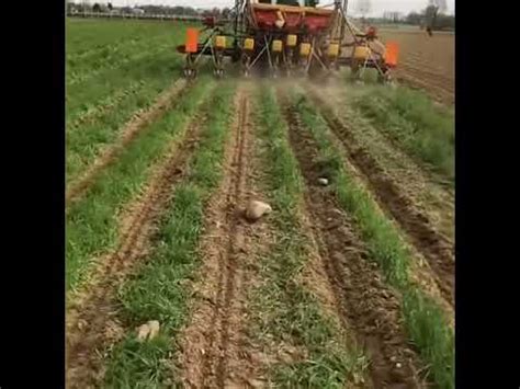 Strip Till Mom E Semina Mais Az Agr Clochiatti Povoletto Udine Youtube