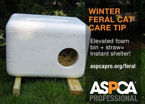 Easy Diy Shelters To Help Feral Cats Feral Cat Shelter Outdoor Cat