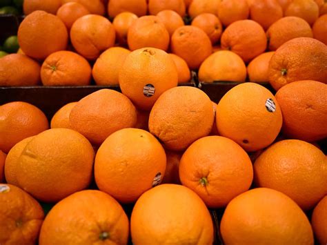 NSW Farmers Warn Orange Juice Shortage About To Hit Australian