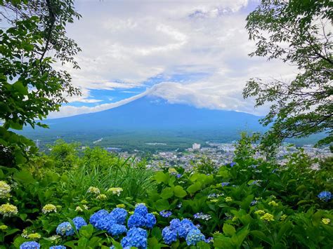 Mount Fuji - Fujikawaguchiko, Yamanashi, Japan : r/pics