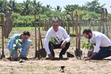 Inician Primeras Acciones Del Programa Sembrando Vida En El Salvador