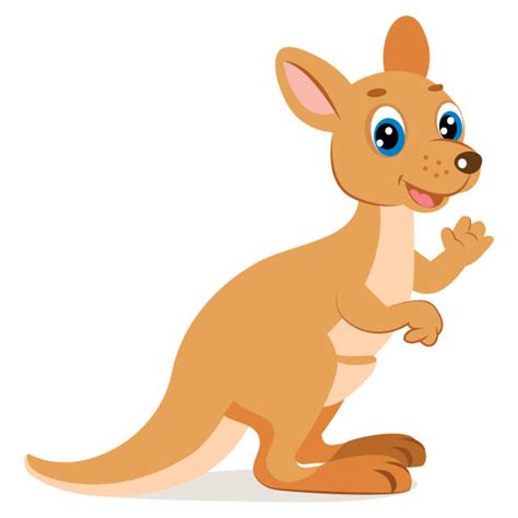 5 700 Kangaroo Cartoon Stock Illustrations Royalty Free Vector