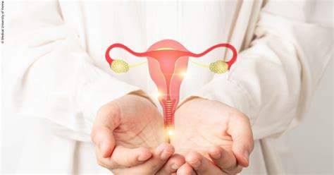 Cervical Cancer Better Odds Using Personalized Brachytherapy