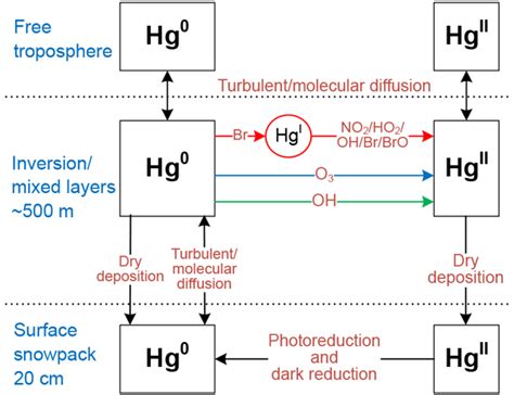 bg relations insights  mercury stable isotopes  terrestrial