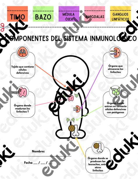 Interactivo del Sistema Inmunológico material de la siguiente