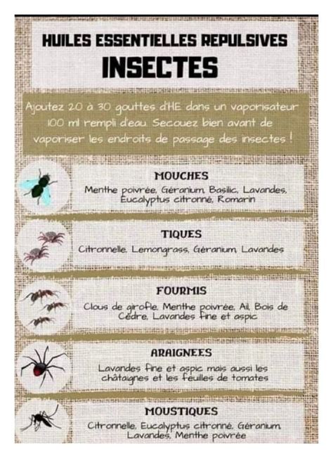 Les Huiles Essentielles Contre Les Insectes