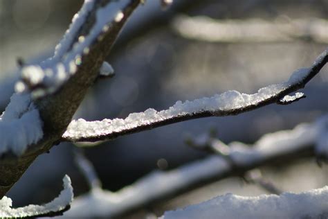 Light Comming Through Steen Jeppesen Flickr