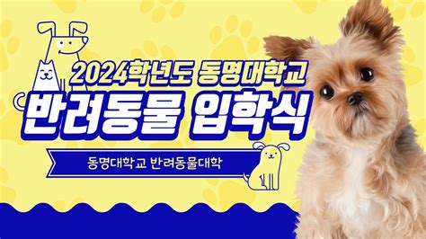 동명대학교 2024학년도 반려동물 신입생 입학식 반려견들의 이색 대학 입학식 🐶 Youtube