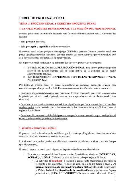 Apuntes Procesal Penal Derecho Procesal Penal Tema Proceso