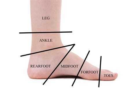 Conditions Ankle Foot And Orthotic Centre