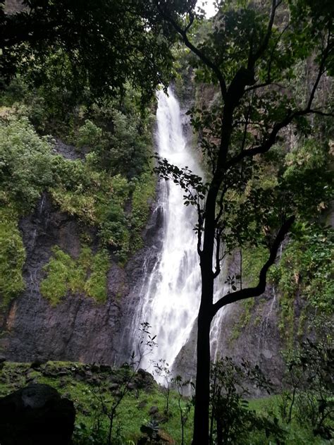 Faarumai Waterfalls | Waterfall, Tahiti vacations, Trip advisor