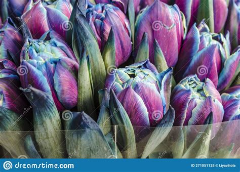 Blue Purple Tulips Spring Flowers Bouquet Stock Photo - Image of color ...