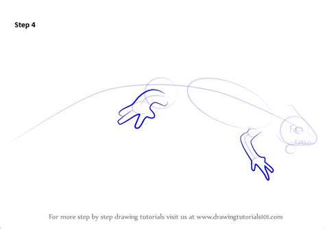 Learn How to Draw a Great Crested Newt (Amphibians) Step by Step ...