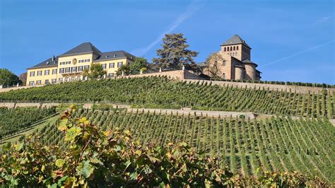 Rundwanderung zum Schloß Vollrads und Schloss Johannisberg Wanderung