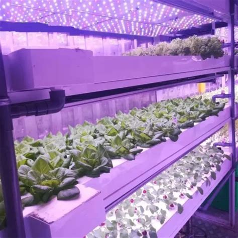 Smart Farm Grow Hydroponic Vertical Farming System Ft Shipping