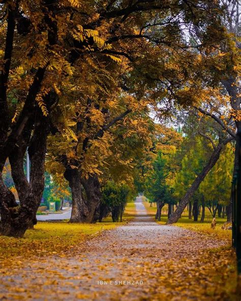 Autumn In Islamabad Rislamabad