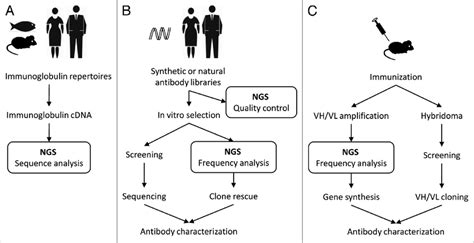 Different Applications Of Next Generation Sequencing To Antibody Download Scientific Diagram