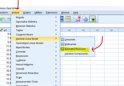 Repeated Measures ANOVA In SPSS Explained Performing