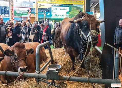 C Est Parti Pour Le Salon International De L Agriculture De Paris Un