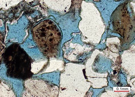 Thin Section Petrography | Oolithica