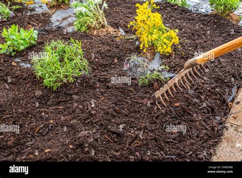 Installing Weed Control Fabric Material And Bark Mulch In A Residential