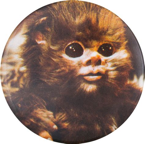 Ewok Png Images Pngegg Images