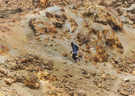 field report common ground purple mountain observatory