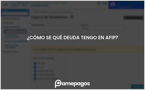 C Mo Se Qu Deuda Tengo En Afip Actualizado