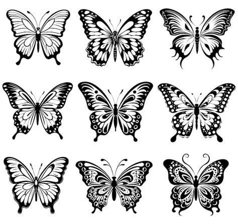 Premium Vector Butterfly Vector Illustration Collection