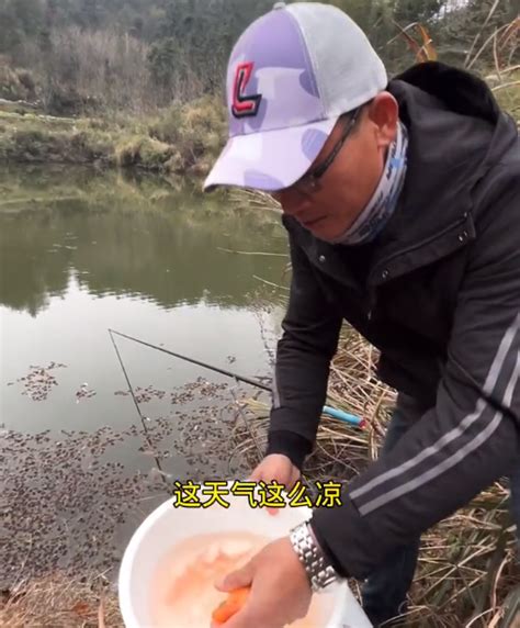 邓刚说打菜籽饼，刘志强说打方块饵，在我看来冬季垂钓都不如酒米 酒米 菜籽饼 刘志强 新浪新闻