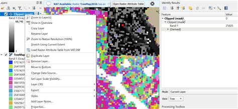 Rasterextractionclip Raster By Mask Layer Not Outputting An Attribute Table For Clipped Area