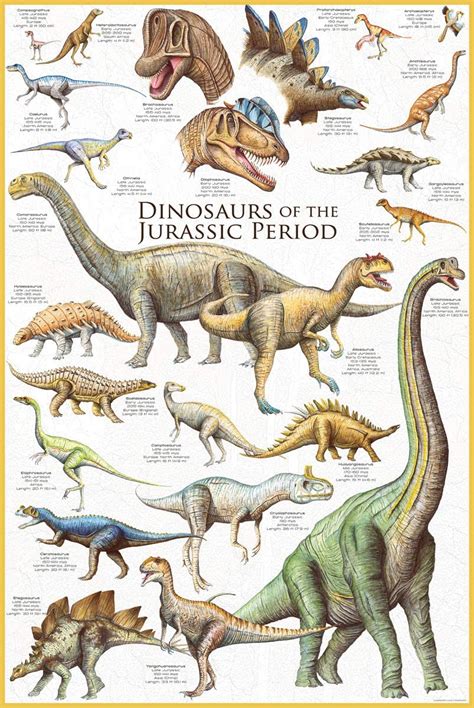 Dinosaurs - Jurassic Period - Chart Poster (24 x 36 inches) – Imaginus ...