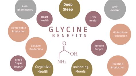 Glycine: A Powerful Amino Acid for Midlife Women's Health