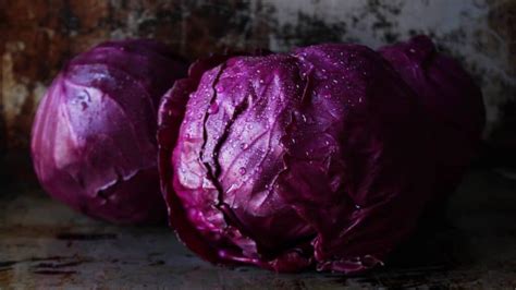 Il Cavolo Rosso Un Tocco Di Colore Nei Piatti Che Promuove La Salute