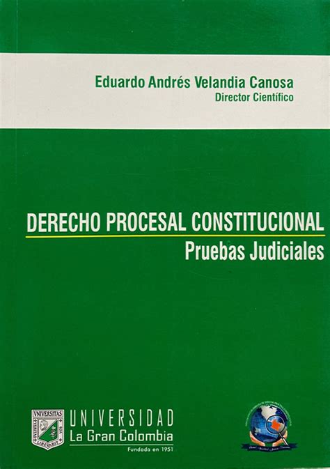 DERECHO PROCESAL CONSTITUCIONAL PRUEBAS JUDICIALES Ediciones Nueva