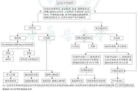 头晕眩晕的诊断与鉴别诊断，一文读懂 知乎