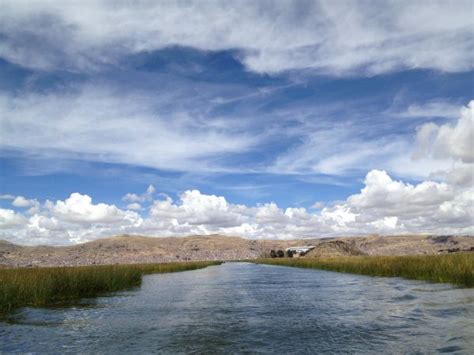 Free Images Landscape Tree Nature Outdoor Creek Wilderness