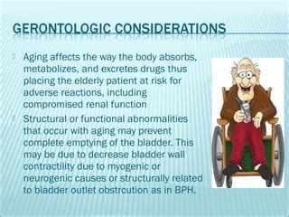 Assessment Of Renal And Urinary Tract Function Ppt